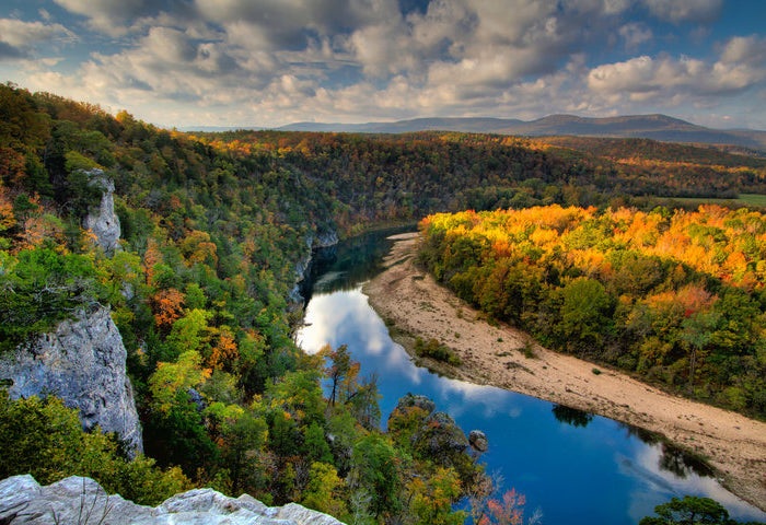 <h2>Reforest the Ozarks, One Tree at a Time</h2>